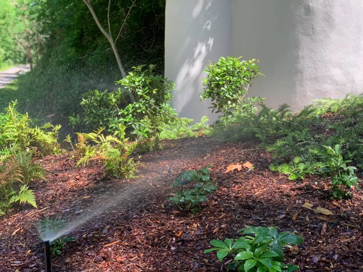 A garden with trees and bushes is being watered.