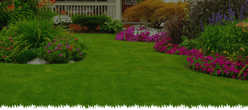 A lawn with grass and flowers in the yard.