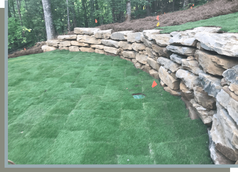 A lawn with grass and rocks in the background.