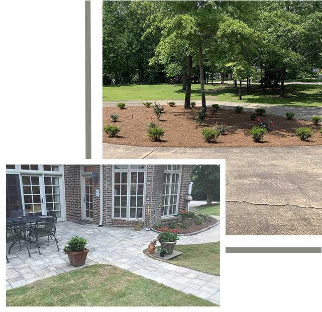 A patio with trees and bushes in the background.