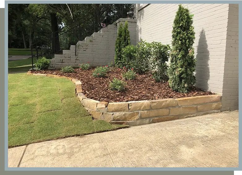 A garden with plants and bushes in the middle of it