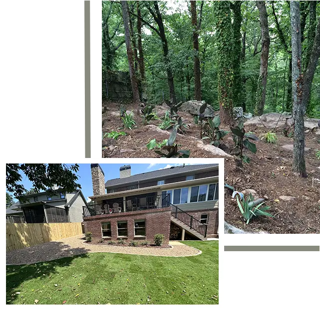 A house with a lot of grass and trees